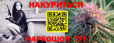 стаф Краснодар