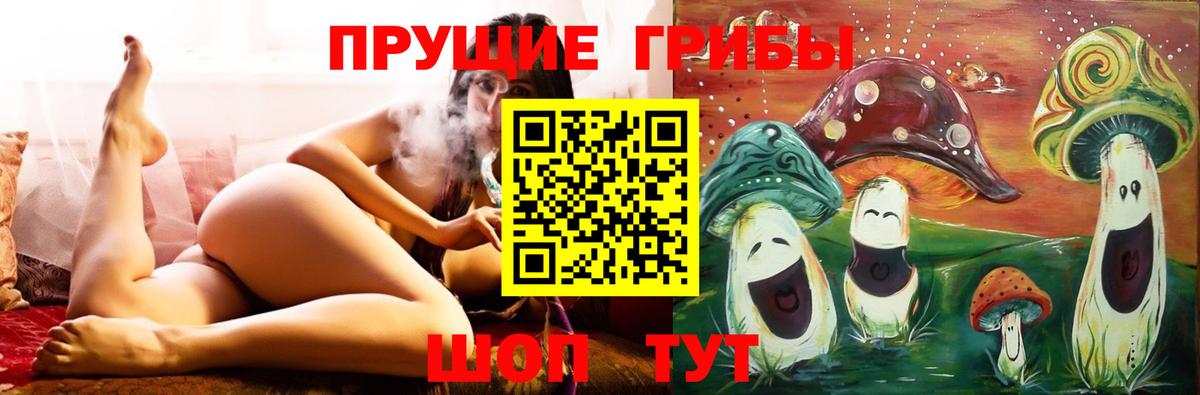 как найти закладки  Вход с VPN  Псилоцибиновые грибы мухоморы  Южноуральск  Галлюциногенные грибы Psilocybe 